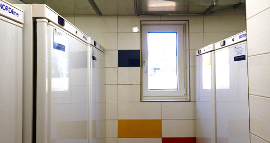 nov-skol-jidelna-2021-008